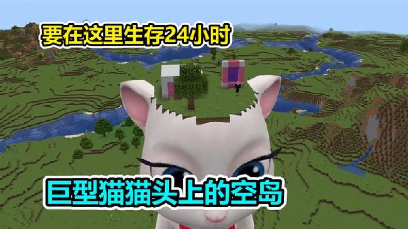  - MC我的世界：在巨型猫猫头上的空岛，要在这里生存24小时