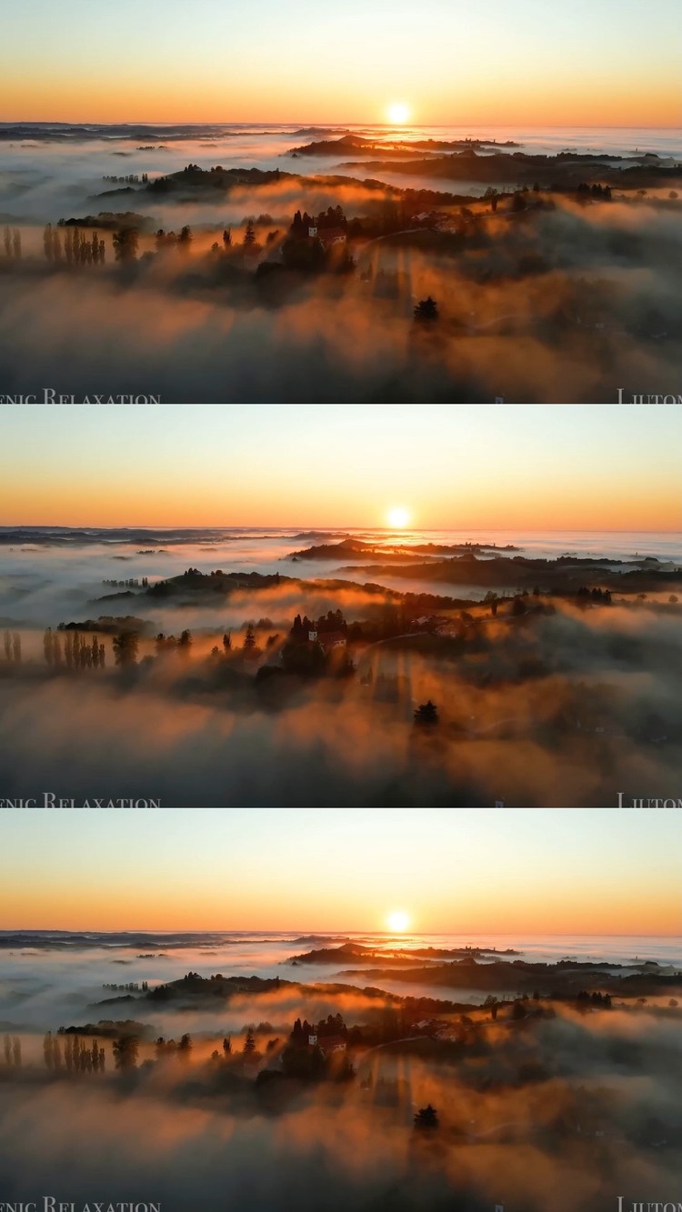  - 【萤火之森 】 (翻奏: CMJ) DZ-Destroyer