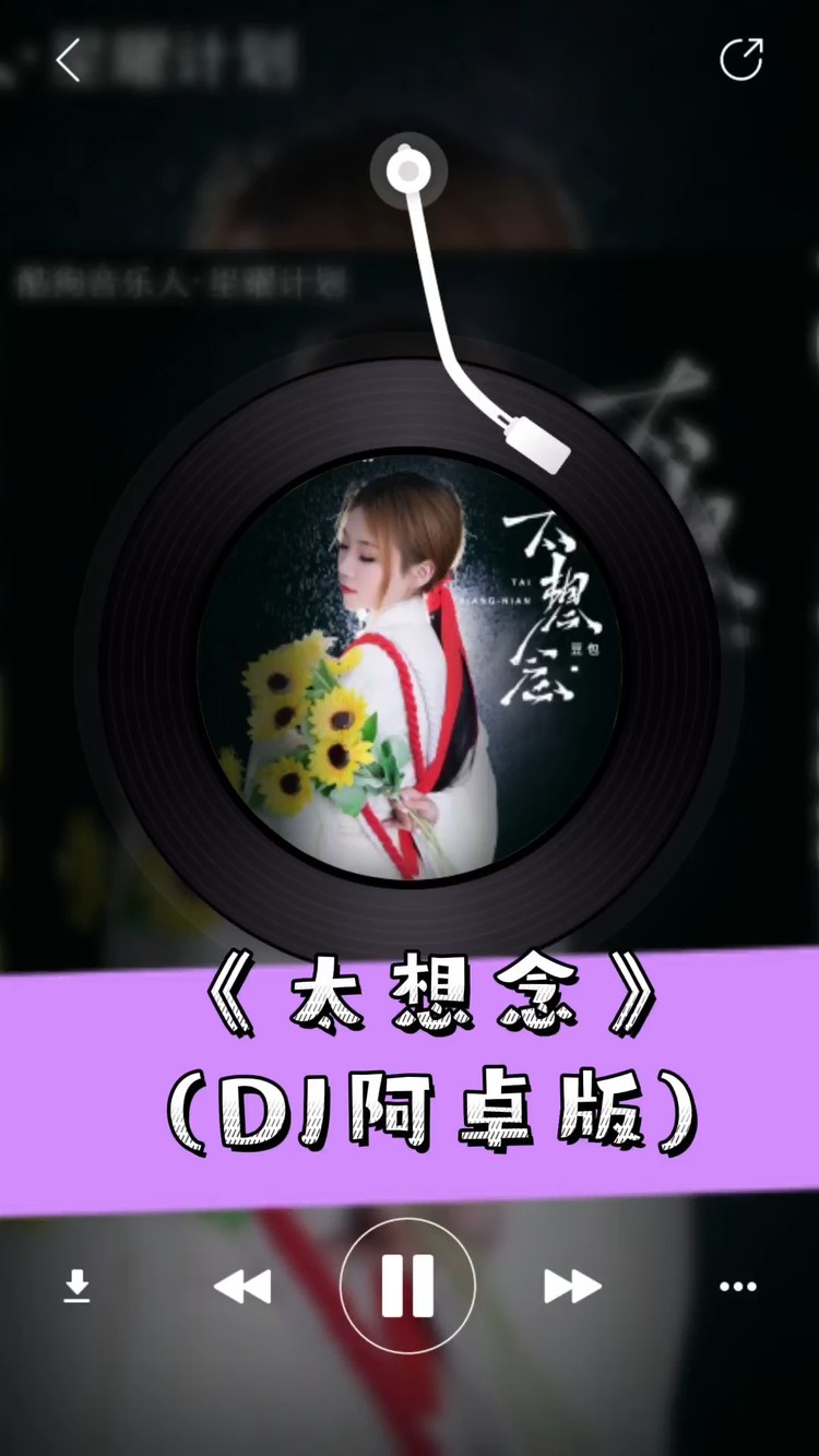 豆包 - 太想念 (dj阿卓版)