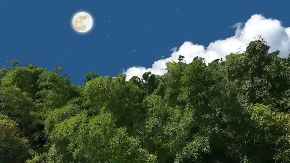  - 如果时间可以重来，你会刻意避开吗？