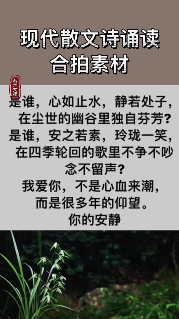 心如止水的意思(心如止水的意思解释)