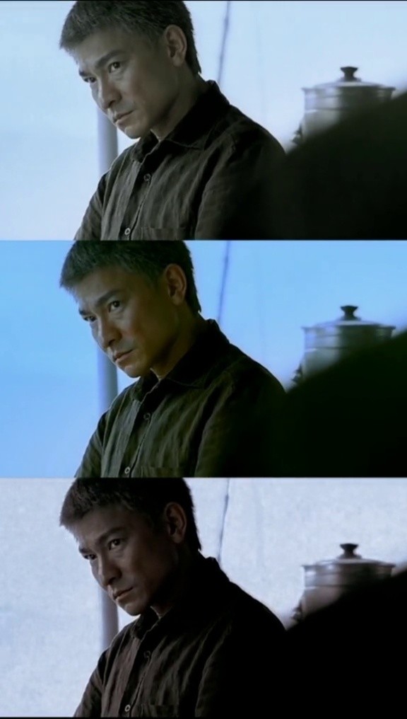 《门徒》染白发骑大象的华仔不要太帅 #刘德华    @允浩剪辑