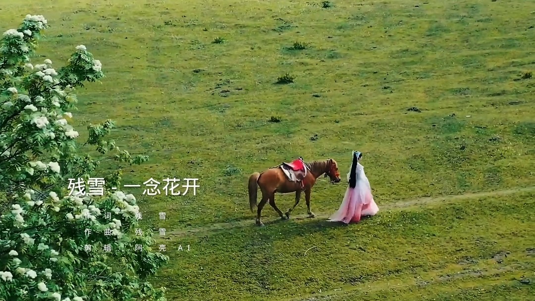  - 残雪新歌《一念花开》，这一年的花开只是你不在。