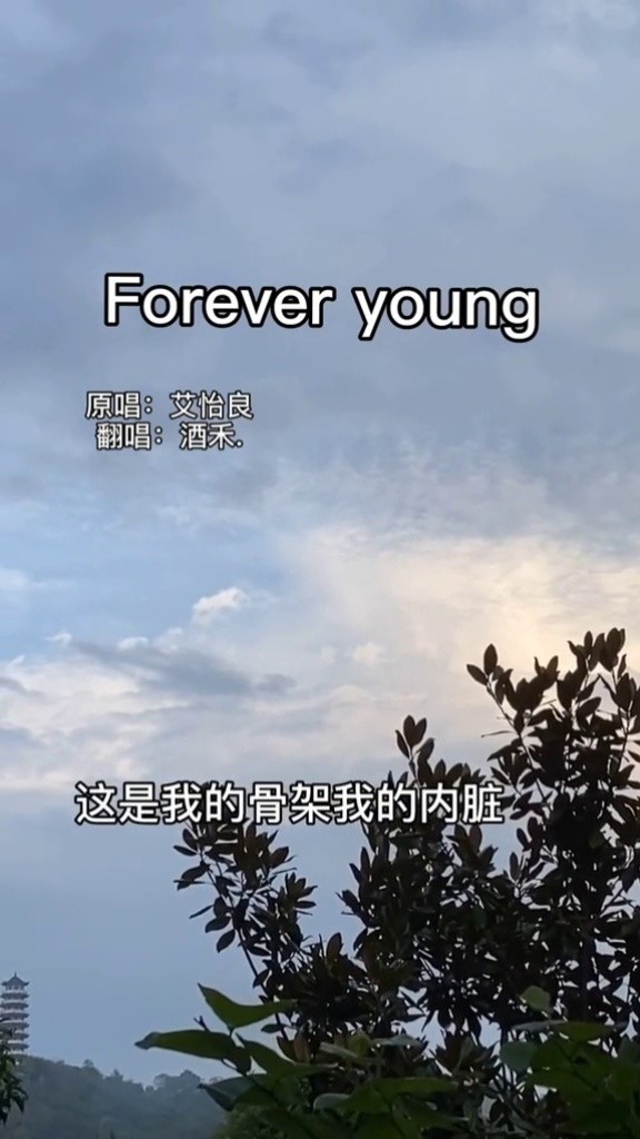 foreveryoung#艾怡良#弹唱#天空#治愈 我也来啦@铁脑袋mp3 入坑