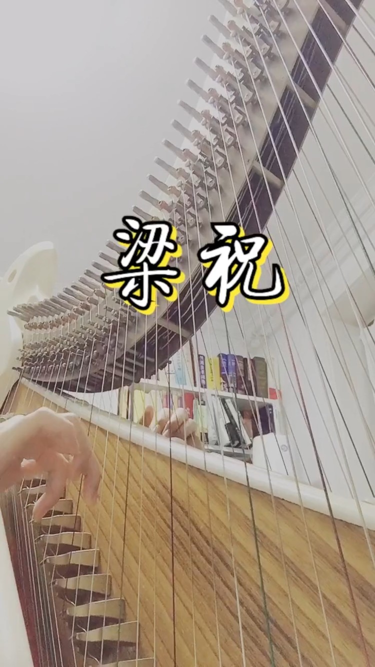  - 【箜篌】梁祝