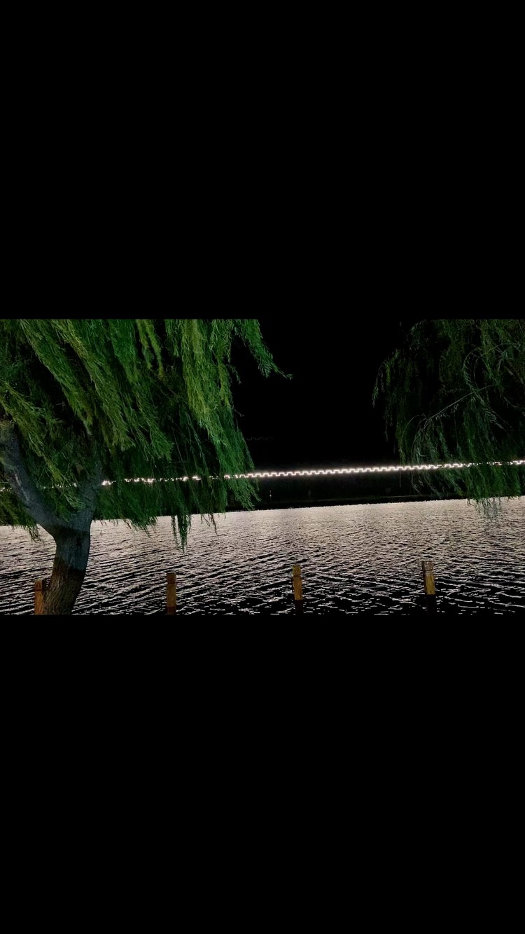  - 距离2022年还剩22天