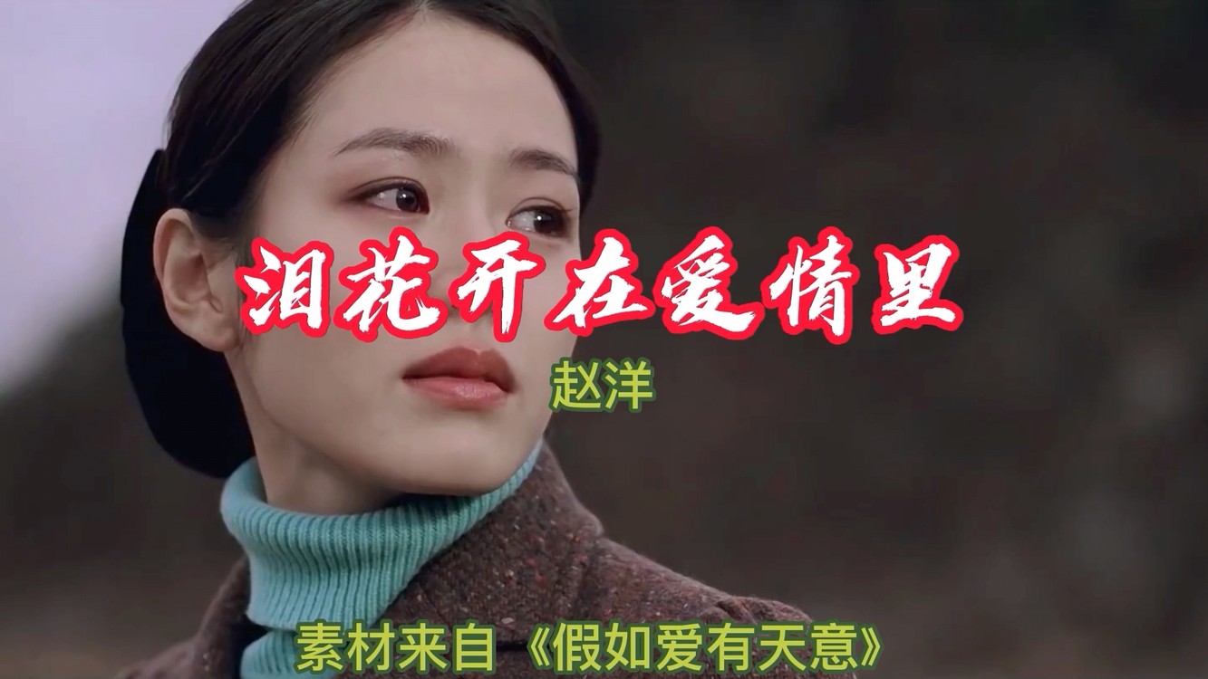 赵洋情歌《泪花开在爱情里》没有一辈子的情,却有一辈子的思念!