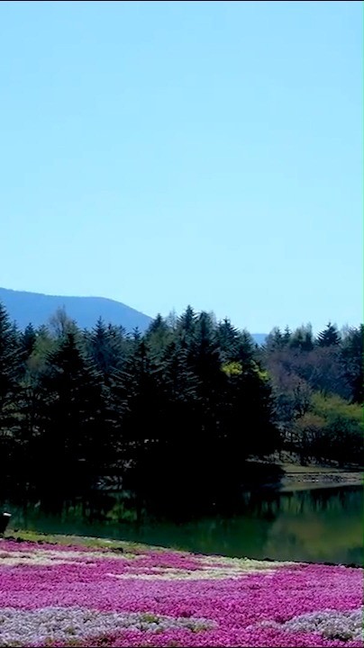 经典再唱超好听路太远经典老歌