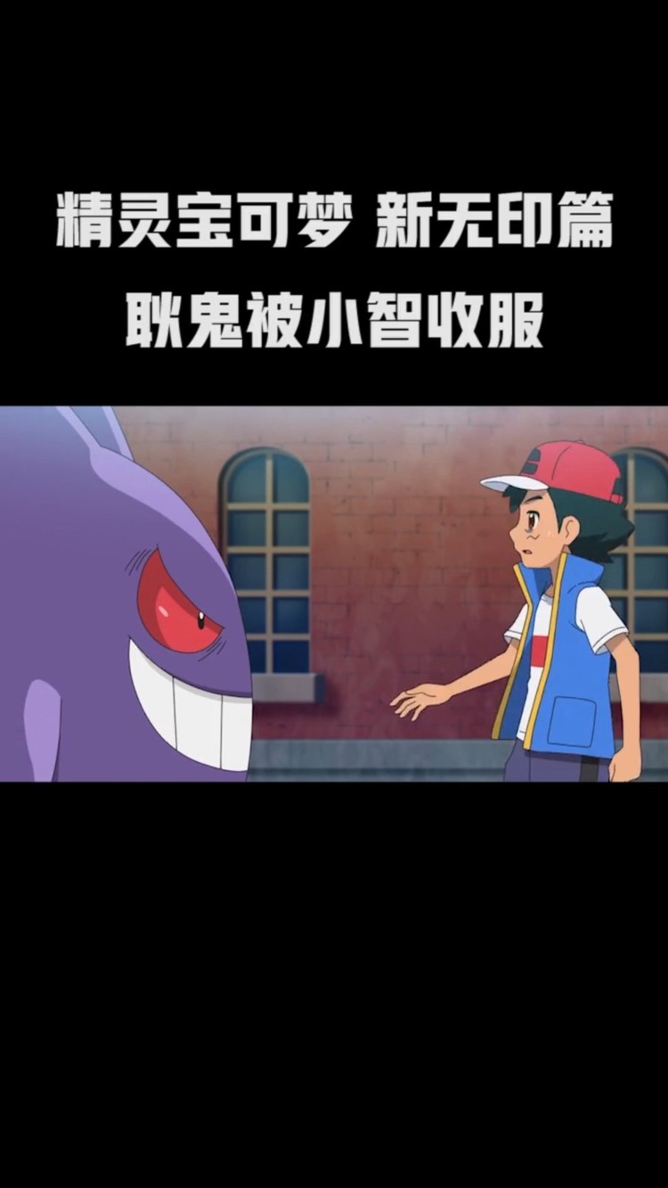 谁家的喵喵快来认领