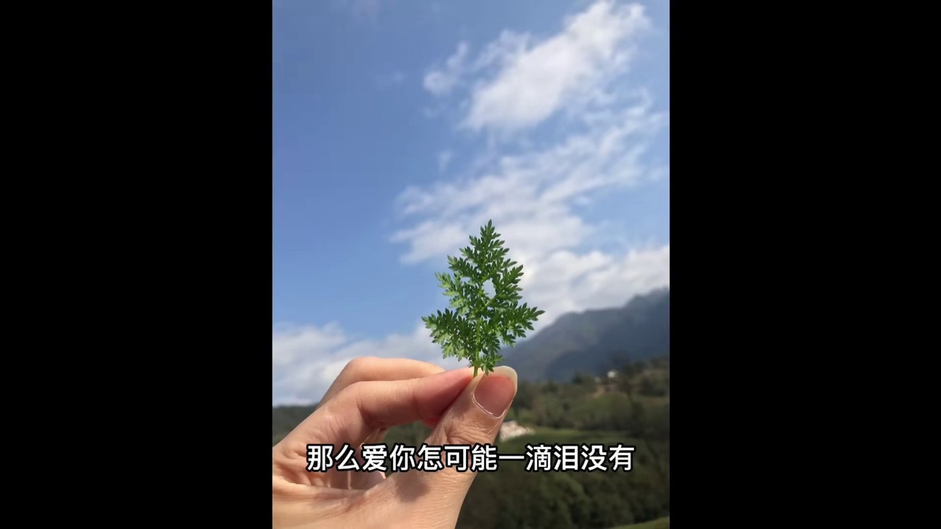 穿著這套超重的衣服跳舞得耗多少體力可想而知78