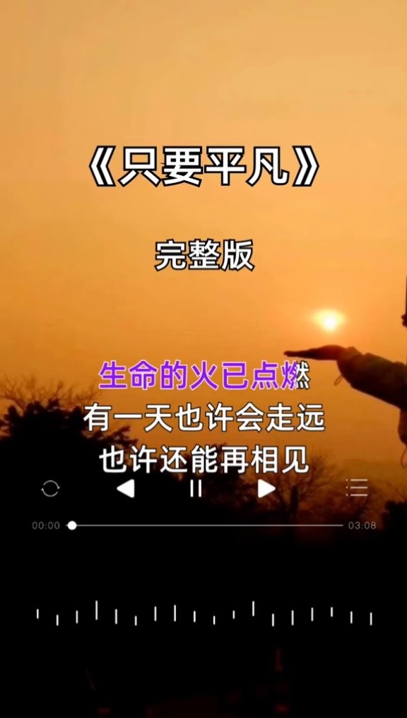 百听不厌的歌曲只要平凡感动了多少人我不是药神mp4