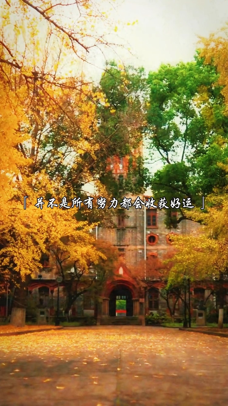  - 高考倒计时137天