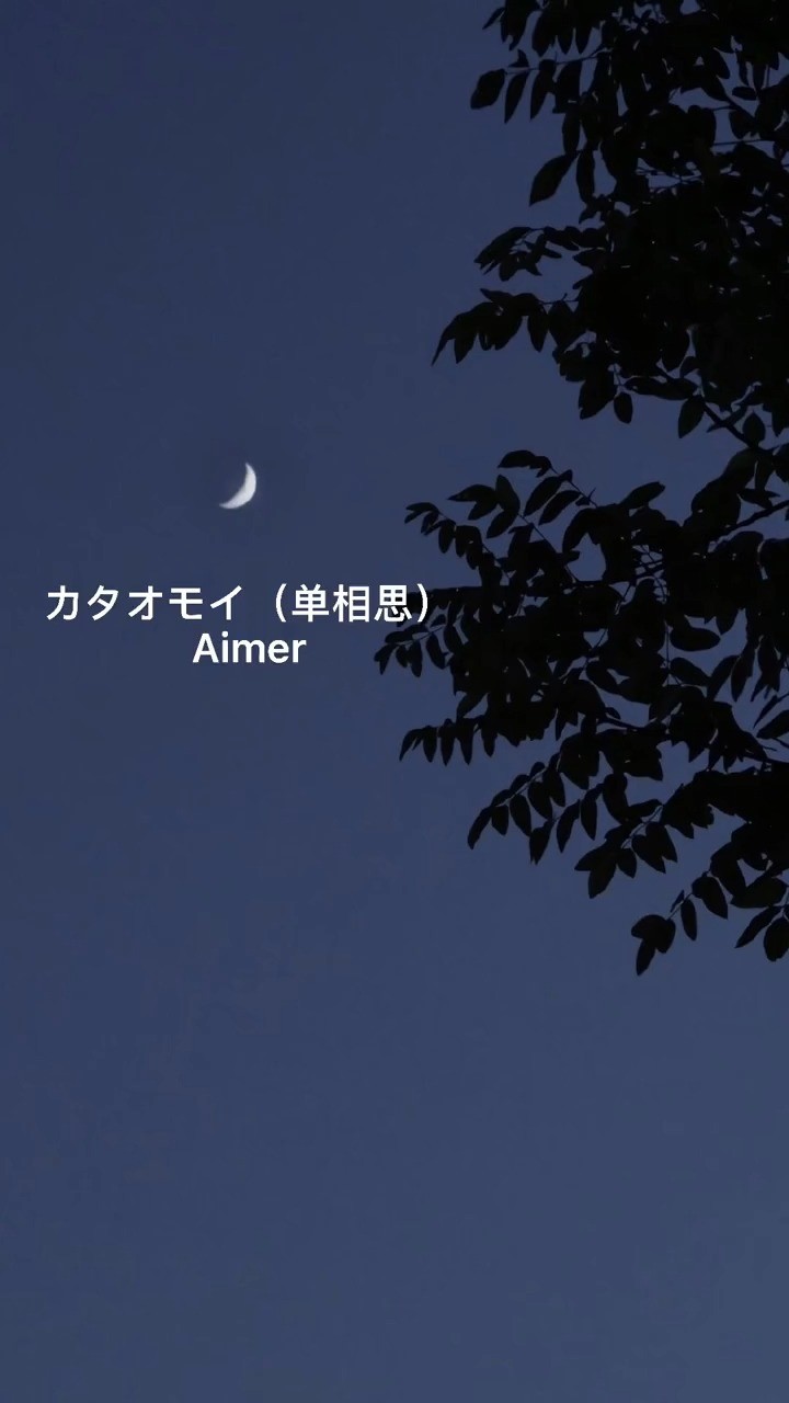 aimer封神的歌曲之一《单相思》