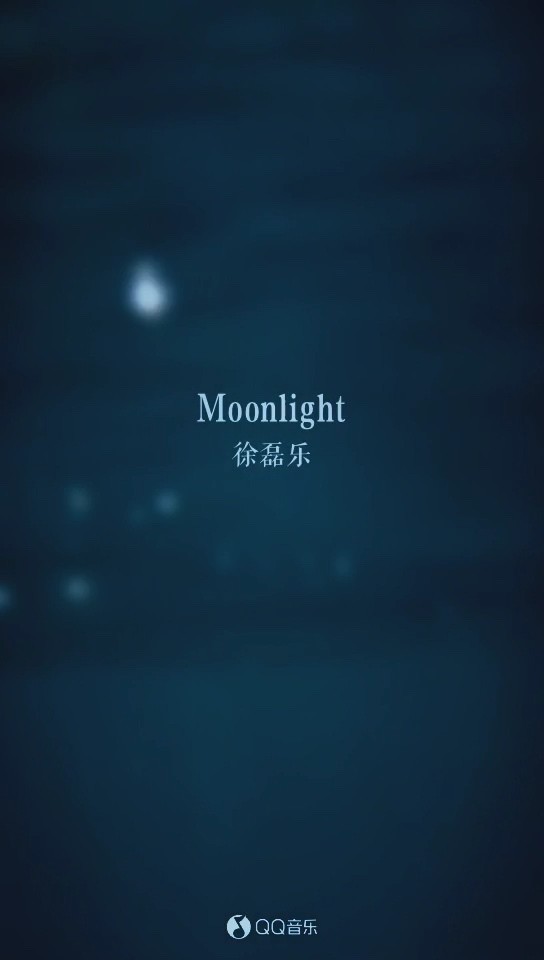  - 徐磊乐《moonlight》