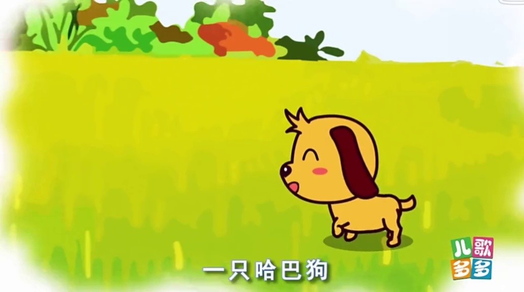 我已经无法用言语表达对海贼王的喜爱了