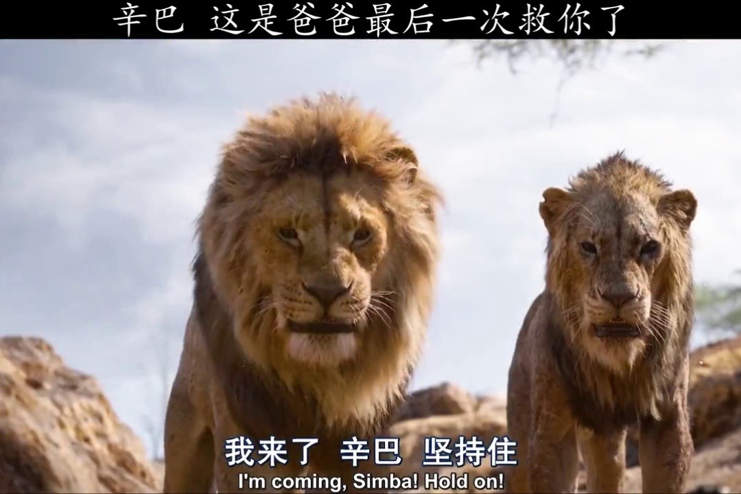 辛巴 这是爸爸最后一次救你了.