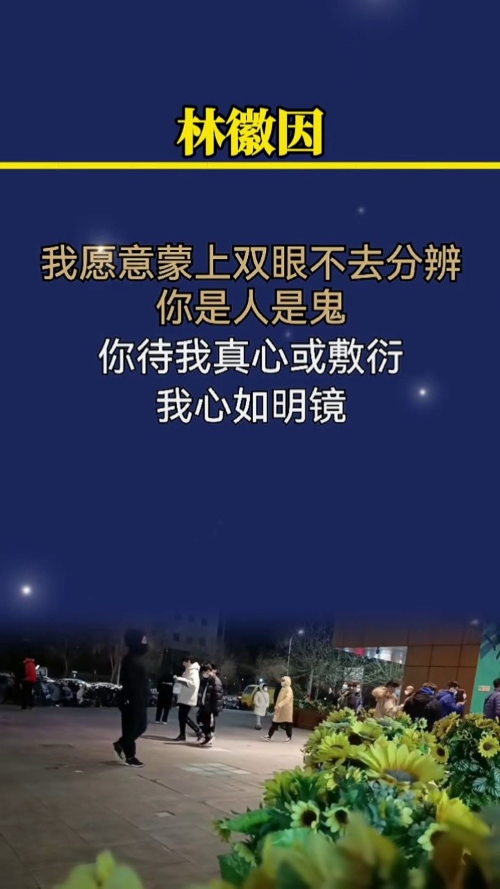 你带我真心或敷衍我心如明镜,我只为我的喜欢装傻一程#林徽因#情感
