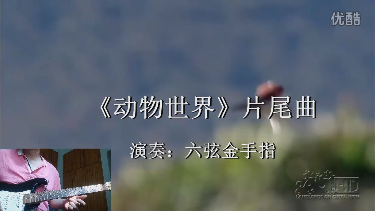- 《动物世界》片尾曲(吉他翻奏)