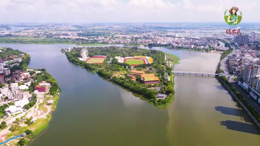 - 企业歌曲《俏农民》戴海霞