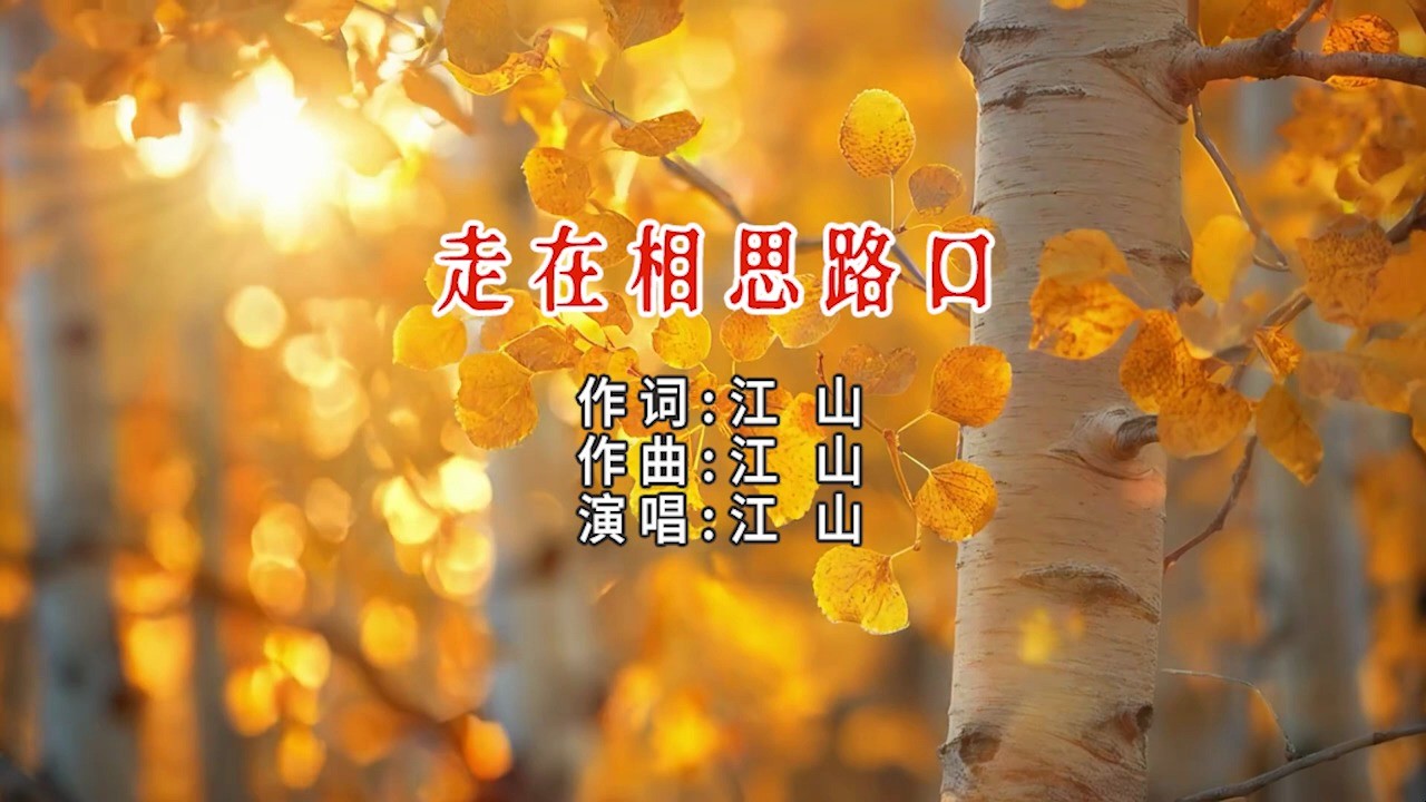  - 走在相思路口（live）MV