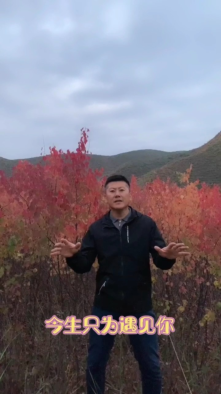  - 今生只为遇见你（原唱）