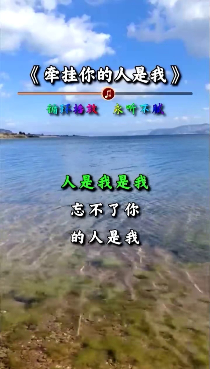 多年前高林生一曲牵挂你的人是我红遍大江南北