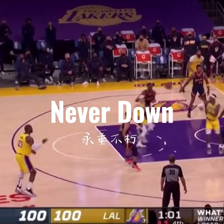  - neverdown（永垂不朽）