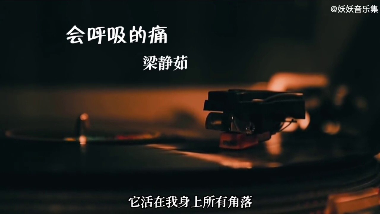 经典老歌系列之梁静茹《会呼吸的痛》 #经典音乐 #经典老歌 #经典歌曲
