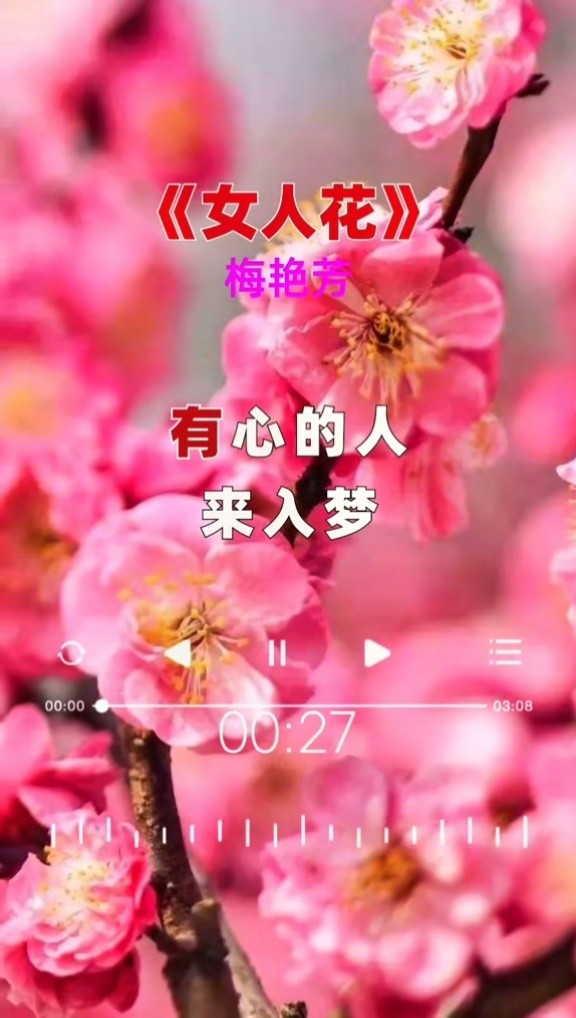 yy好声音图宝宝美女演唱《女人花》-高清mv在线看-qq音乐-千万正版