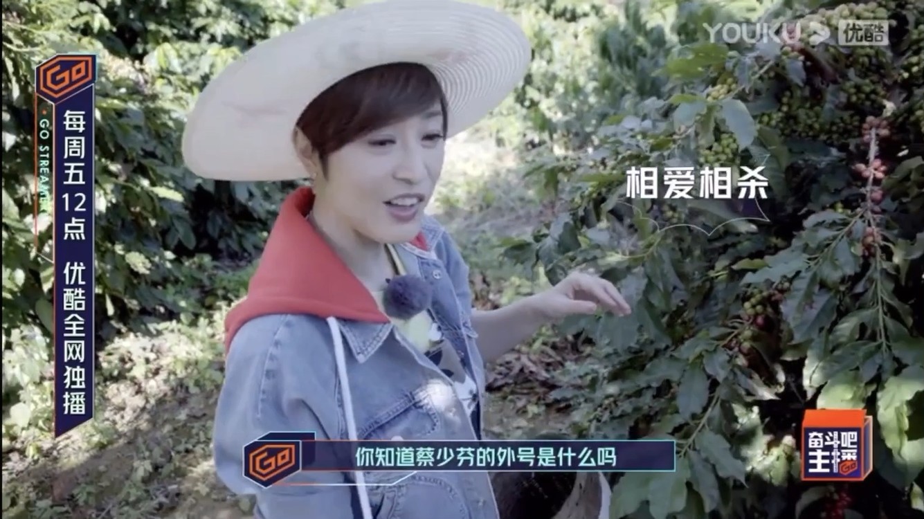 蔡少芬 陈法蓉 边摘咖啡边吐槽彼此