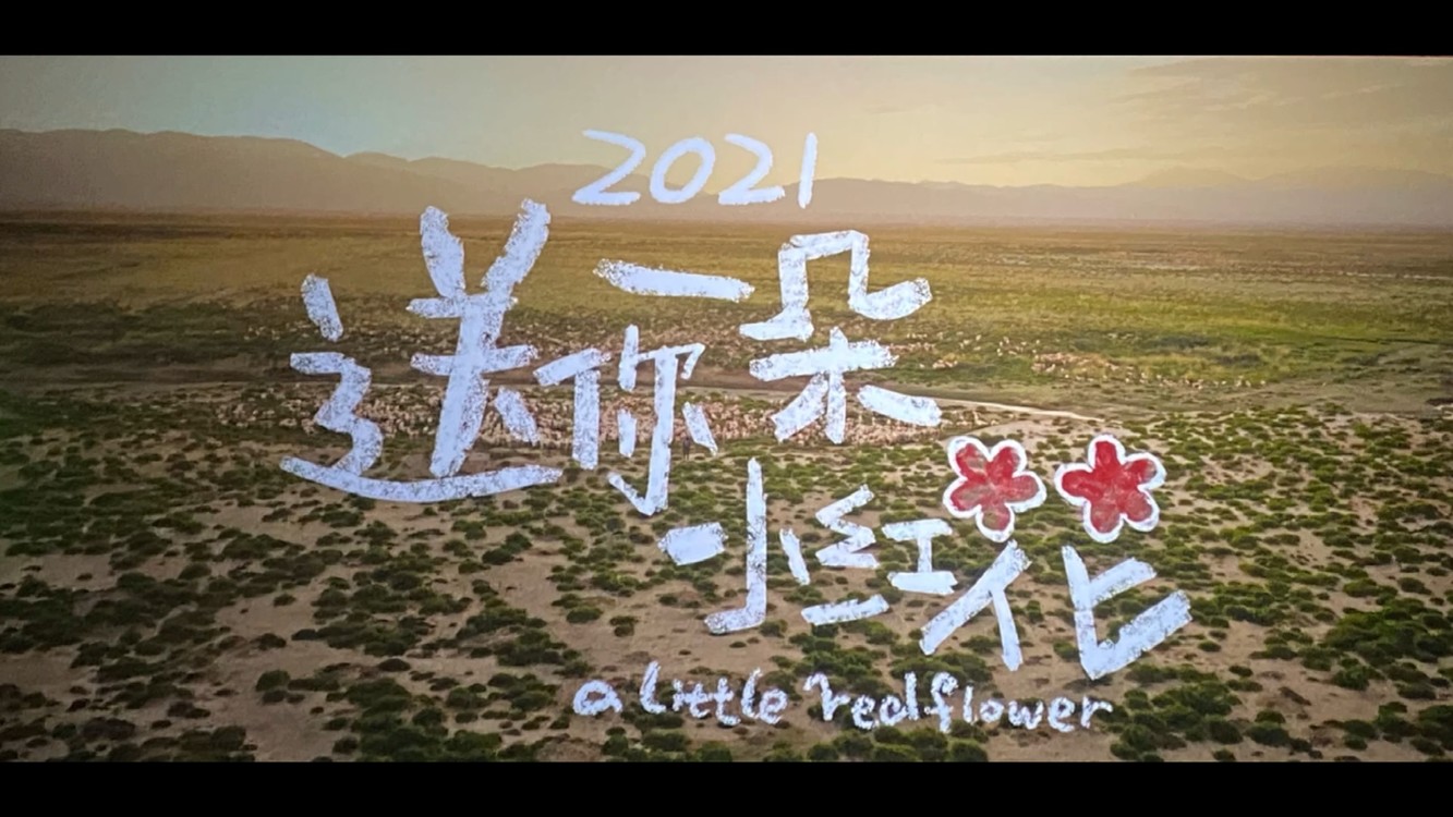 送你一朵小红花假如生命还剩3天主创们会做什么