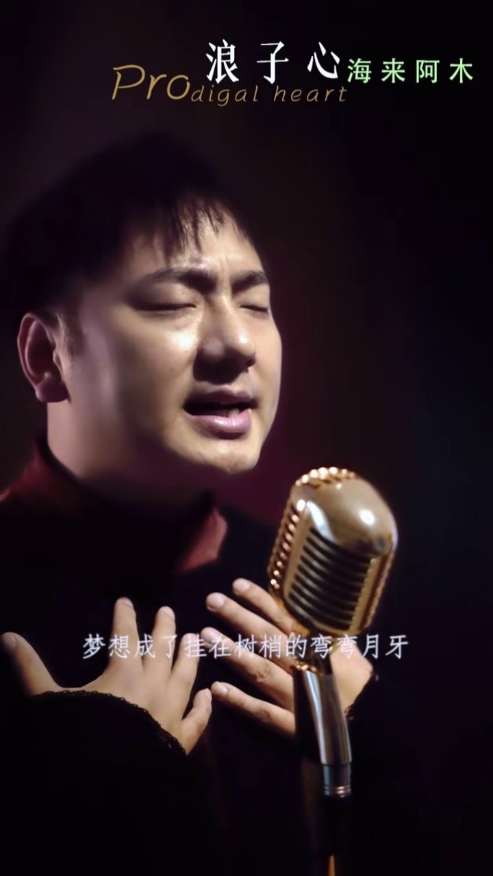 梦想终究成了挂在树上的弯弯月牙#海来阿木 #浪子心 #原创音乐