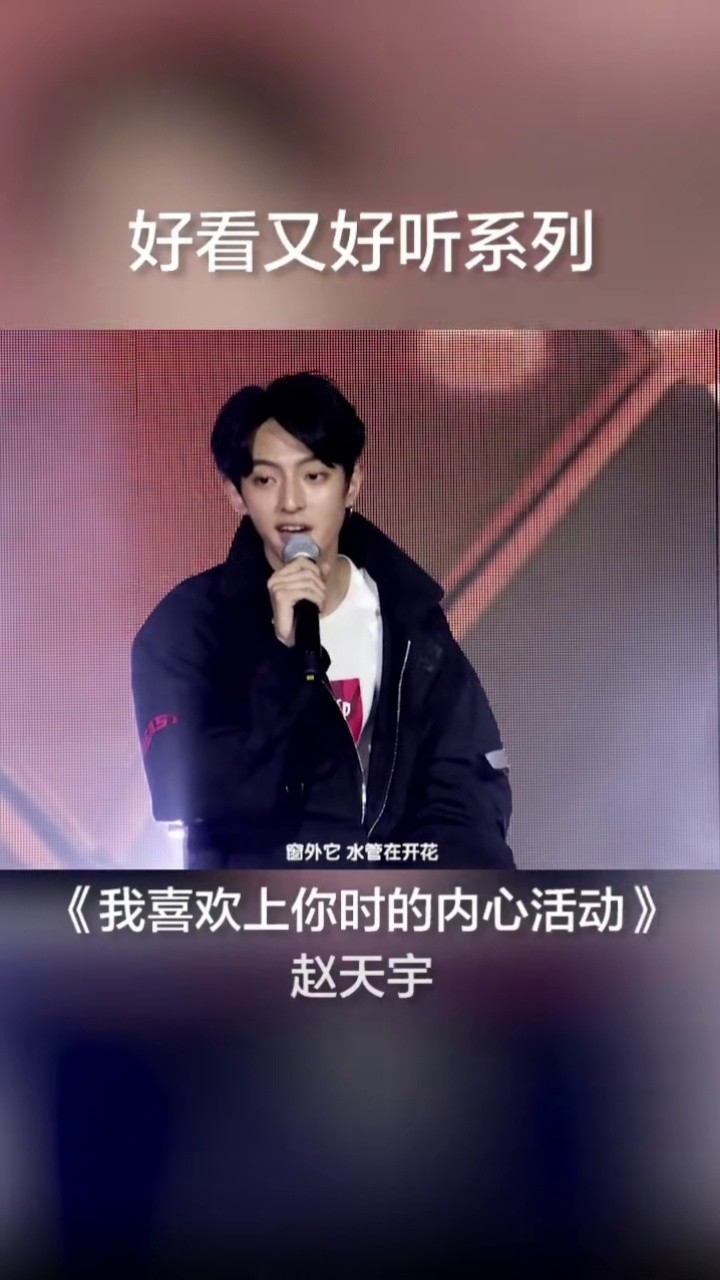 赵天宇被驯服的象歌词版mv