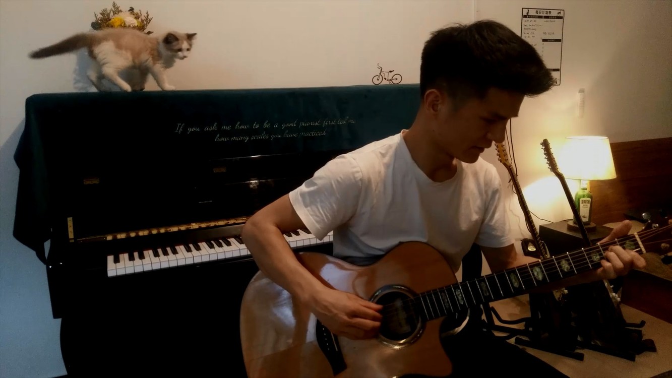  - 低音弹唱版本《Remember Me》