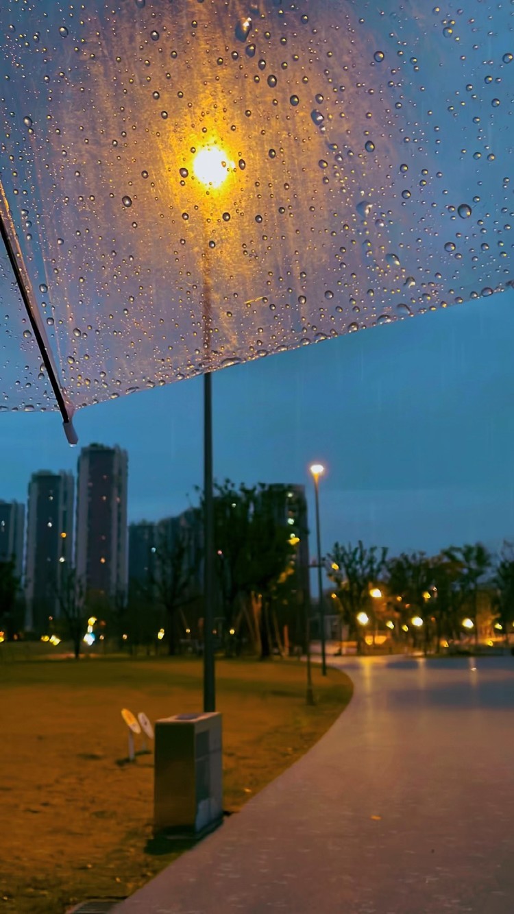 浪漫就是现实主义者愿意为在雨中奔跑的理想主义者撑伞