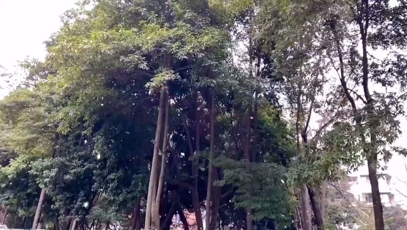  - 像初雪一样靠近你