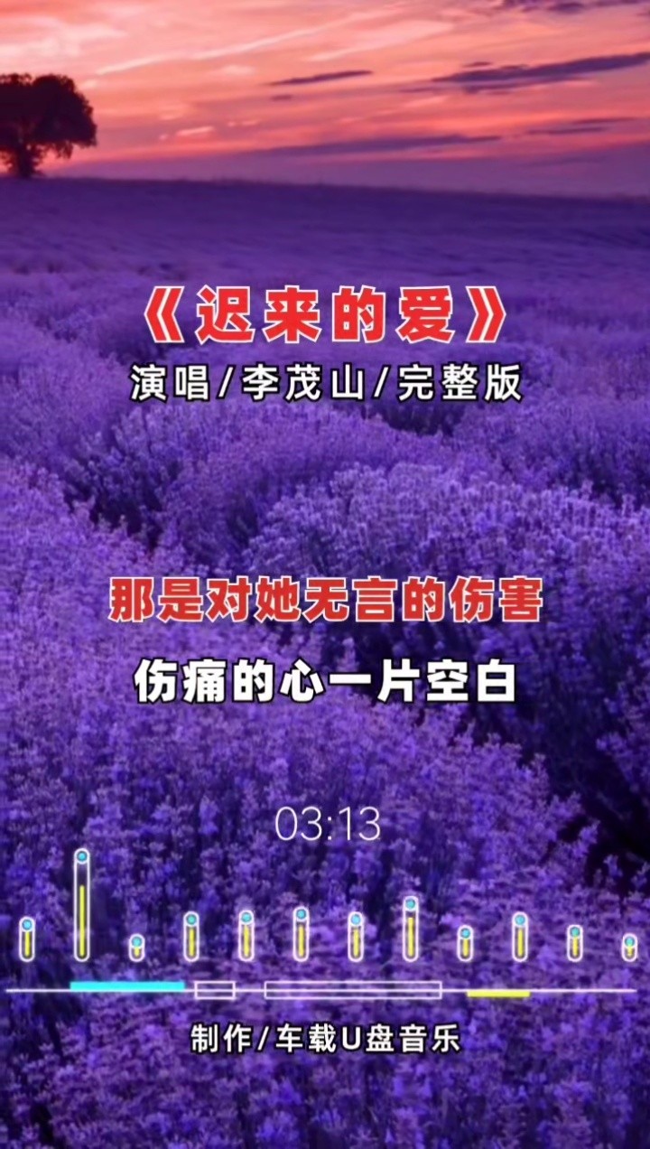 迟来的爱 