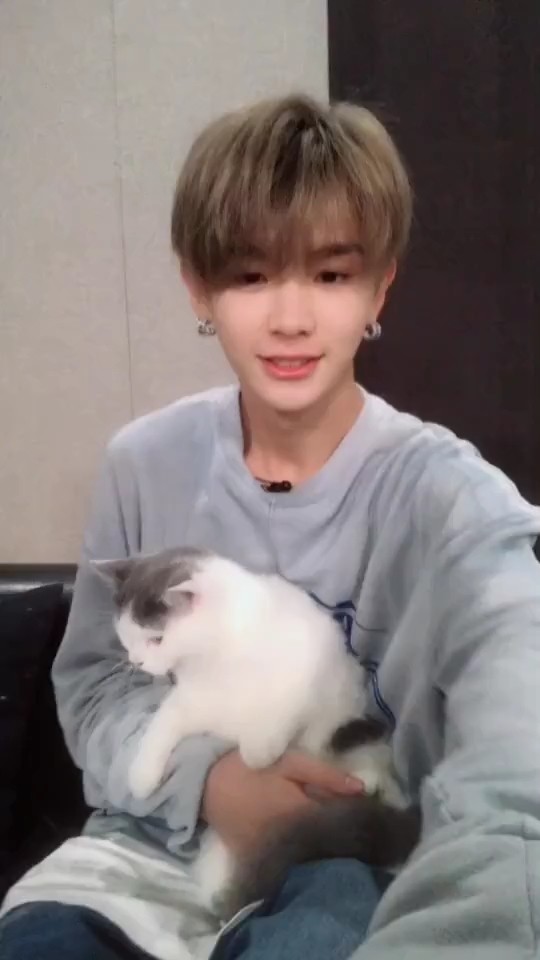 盘点那些综艺上justin黄明昊的冷笑话合