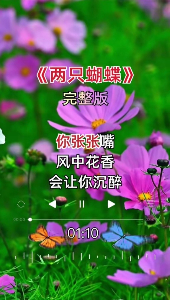 两只蝴蝶 #完整版 #热门音乐 #经典歌曲