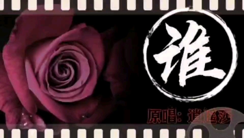 《情非得已》-高清mv在线看-qq音乐-千万正版音乐海量无损曲库新歌热