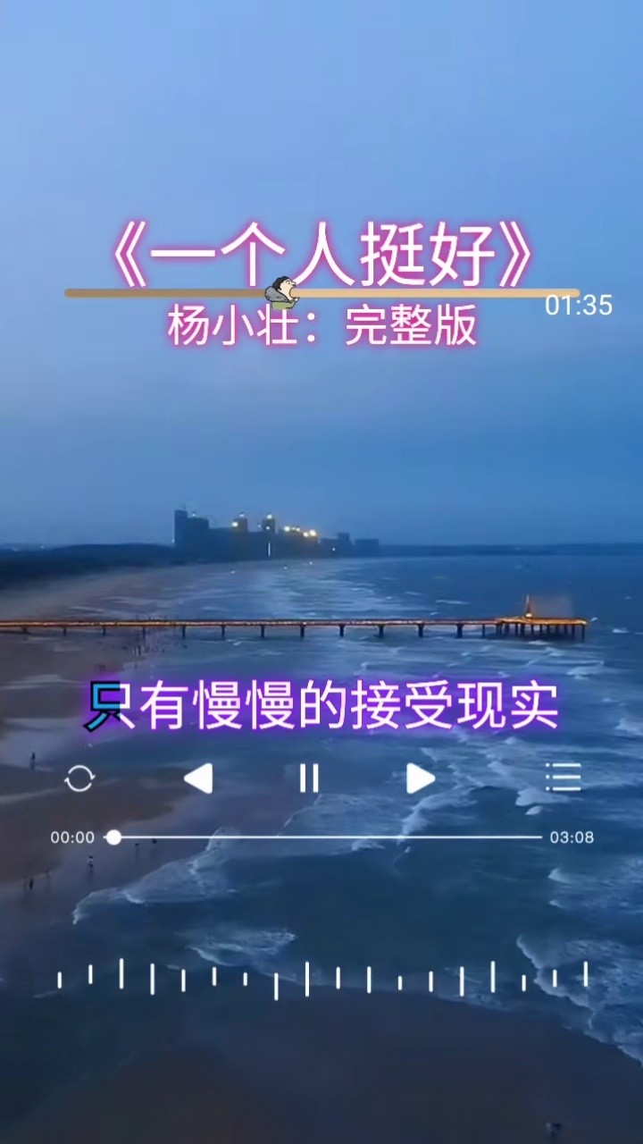 伤感歌曲 #一个人挺好  #杨小壮一个人挺好 完整版