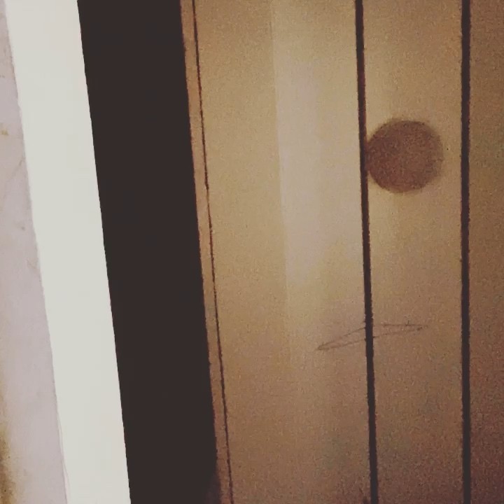 - 蒲公英的约定