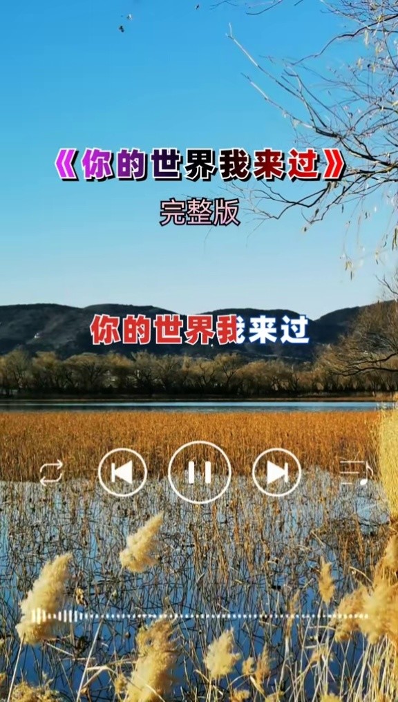 你的世界我来过