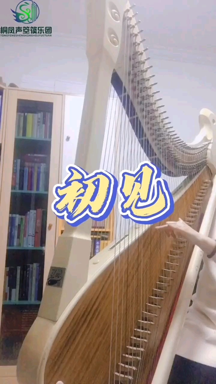  - 【箜篌】初见