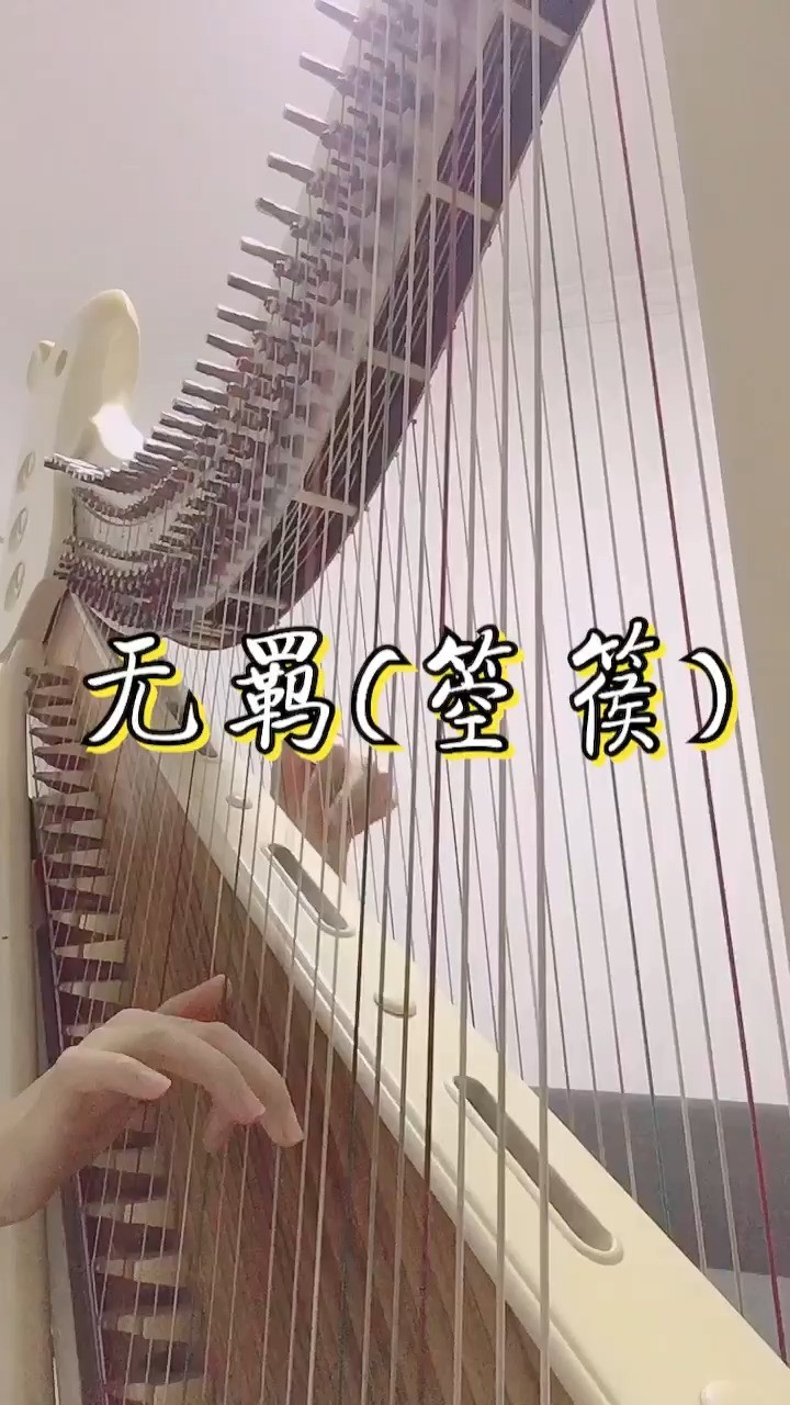  - 【箜篌】无羁
