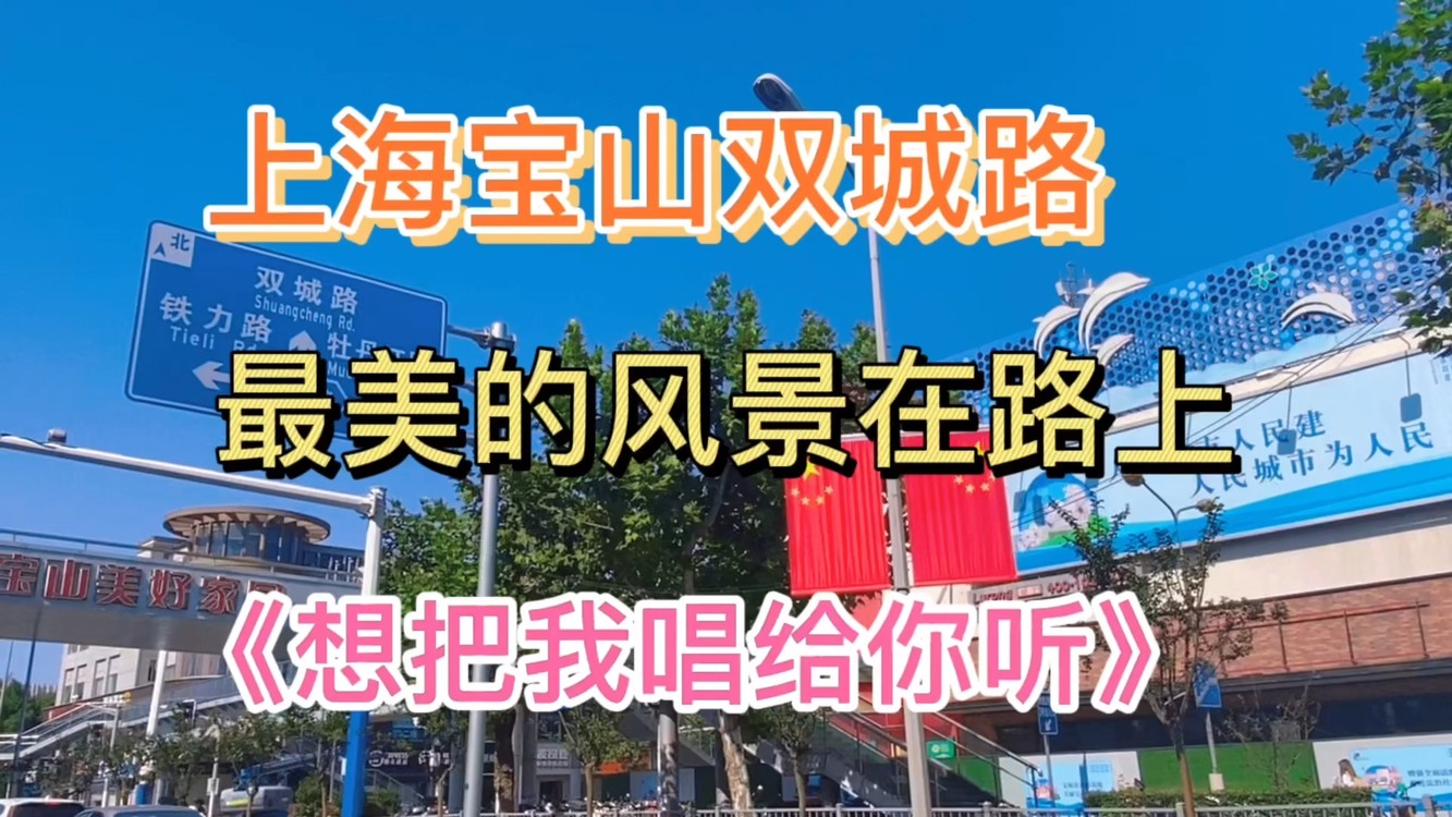  - 上海宝山双城路，最美的风景在路上，想把我唱给你听