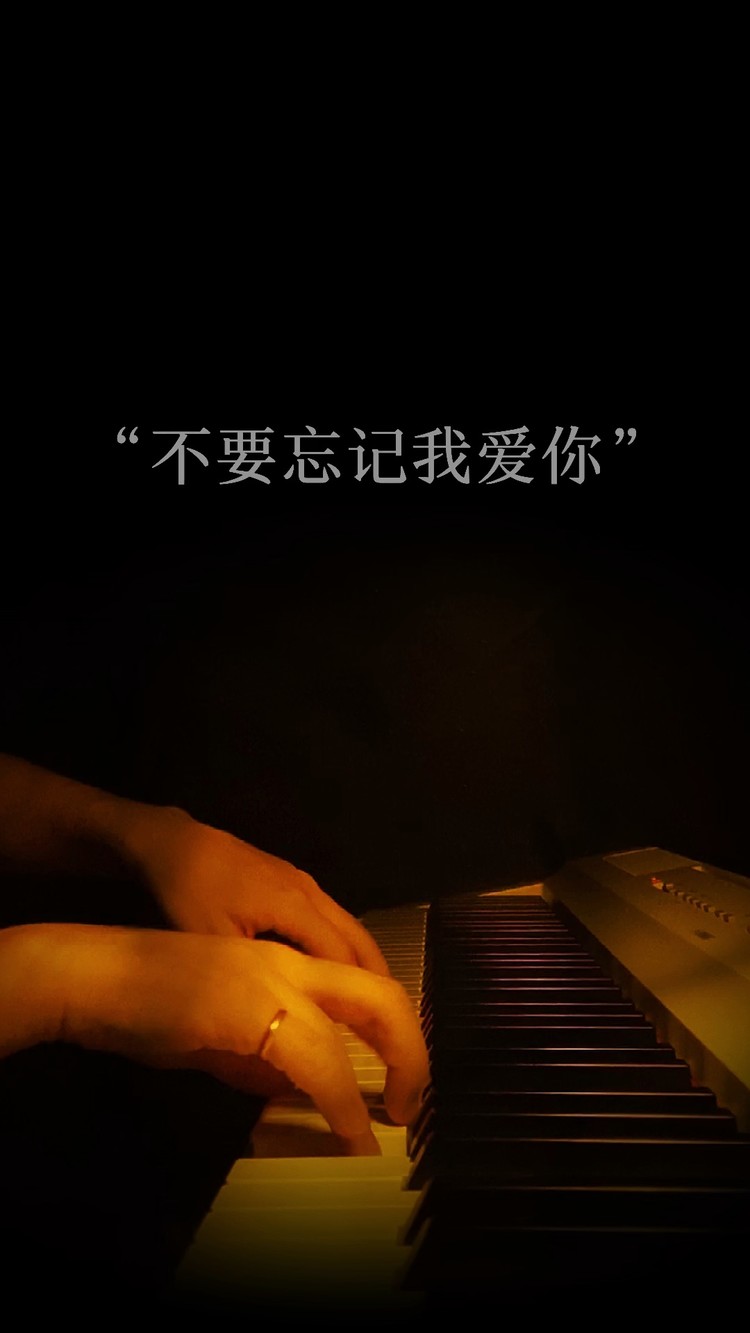 - 不要忘记我爱你/钢琴版