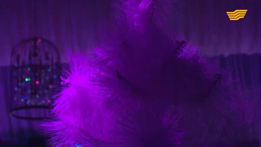  - 哈萨克流行音乐