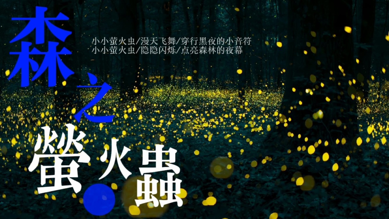  - 森之萤火虫