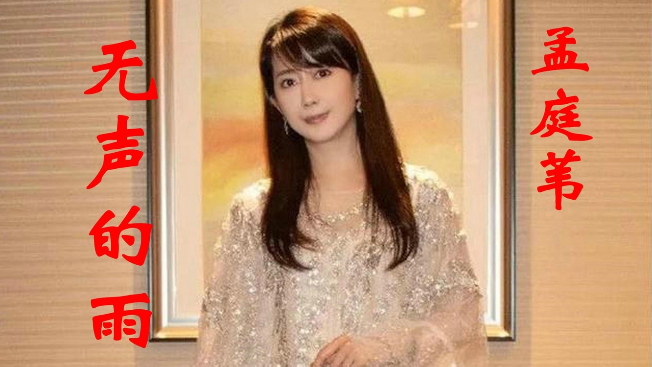 孟庭苇《无声的雨》,经过多少孤单不要你陪伴,我也那么勇敢